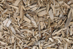 biomass boilers Pear Ash